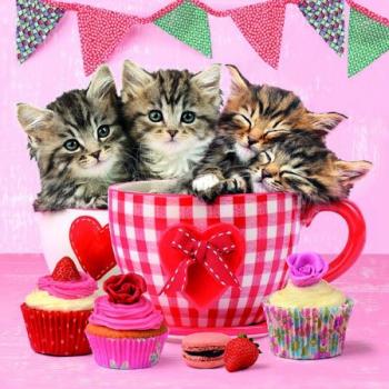Servietten Cats in Tea Cups